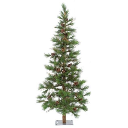 Autograph Foliages C-0780 7 ft. Big Cone Needle Pine with Grapevine